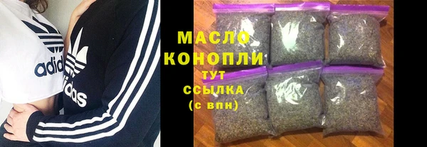 дживик Богородицк