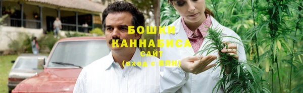 дживик Богородицк