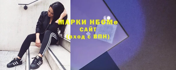 дживик Богородицк