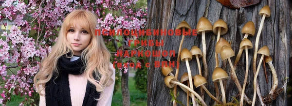 дживик Богородицк
