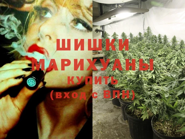 дживик Богородицк