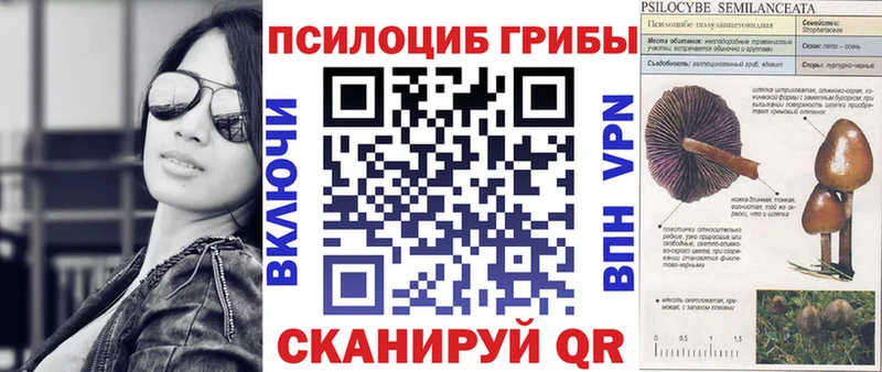 Галлюциногенные грибы прущие грибы  Кораблино 
